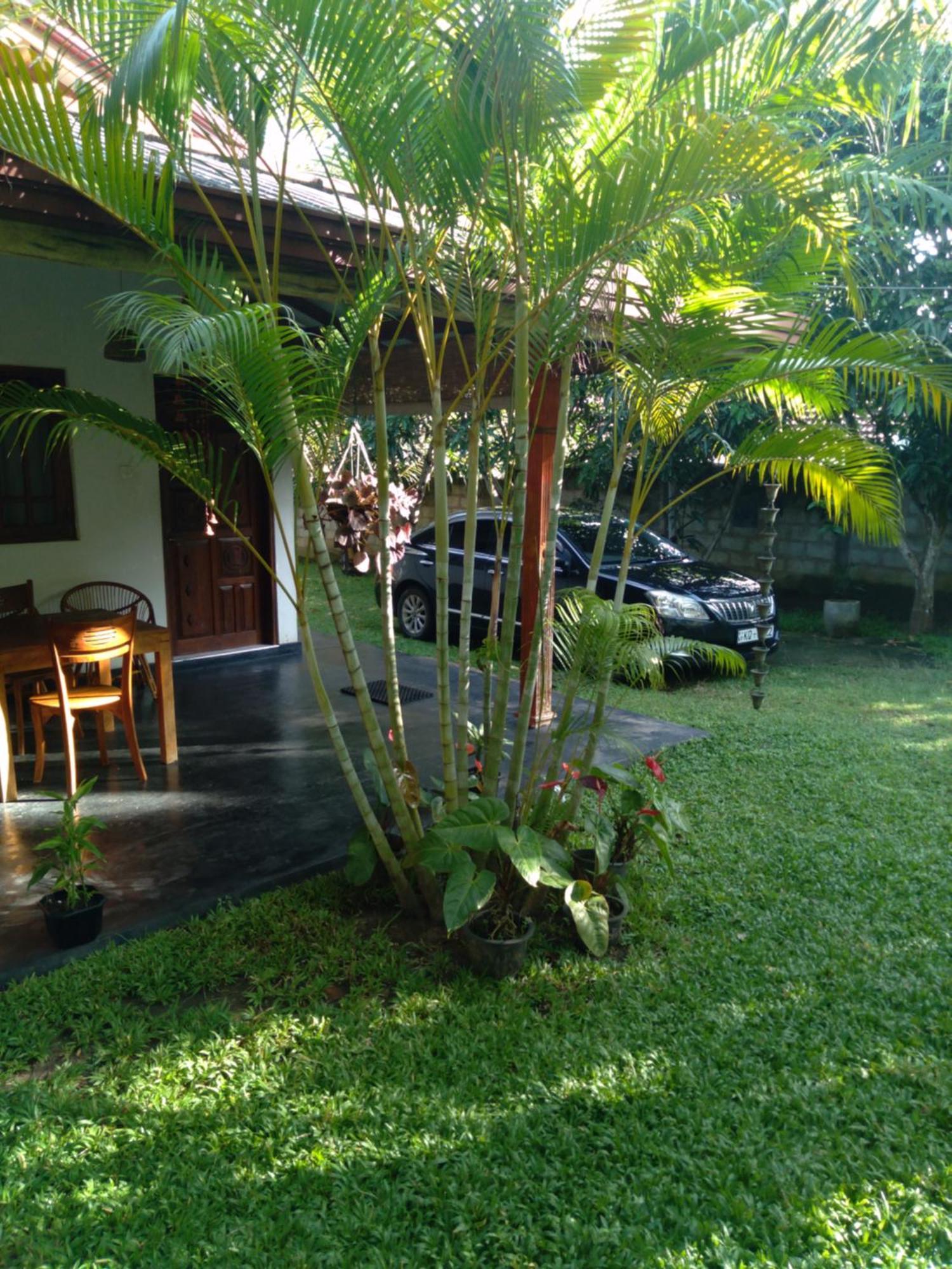 Jasmin Homestay Marakolliya Tangalle Exterior foto