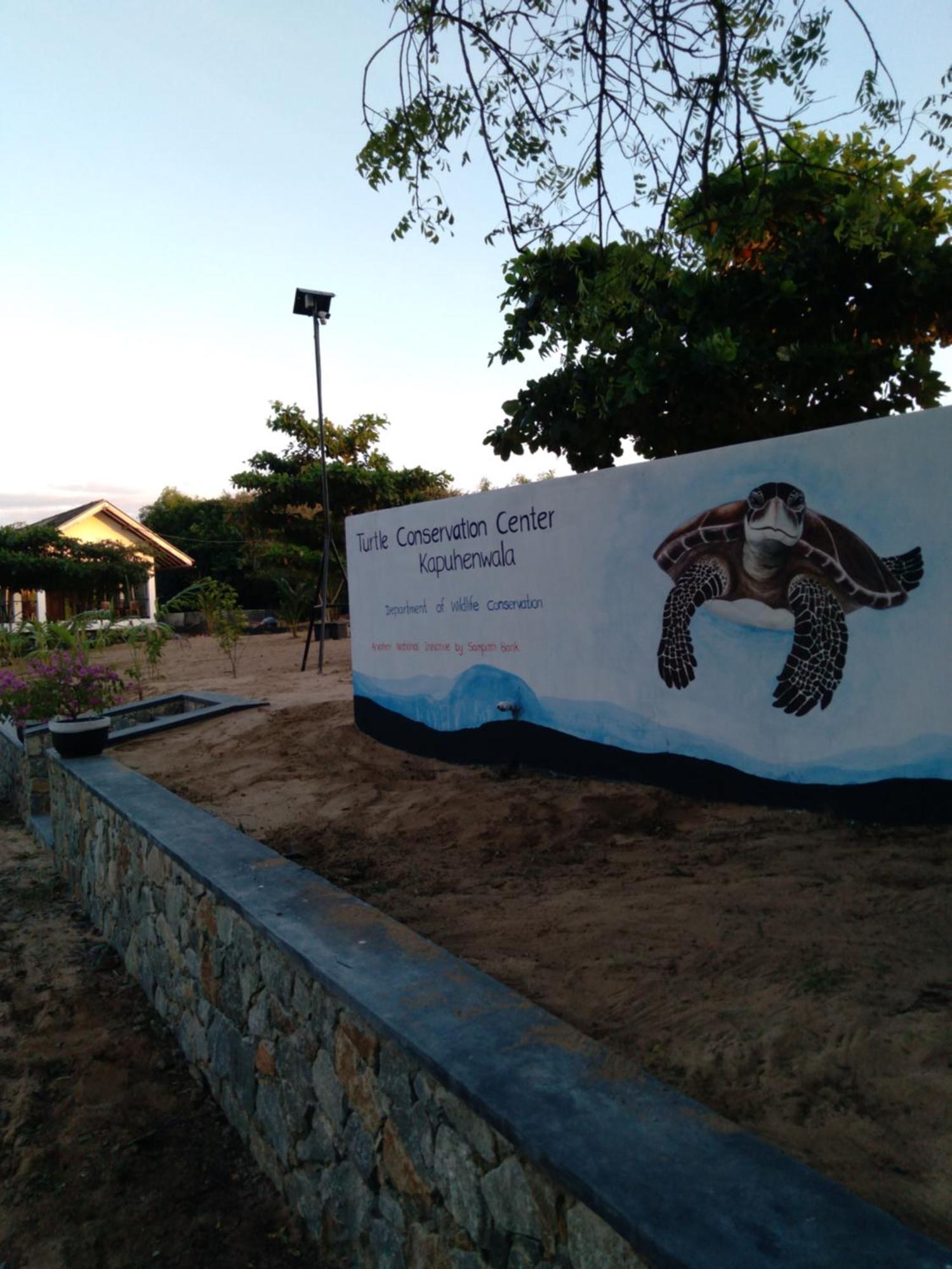 Jasmin Homestay Marakolliya Tangalle Exterior foto